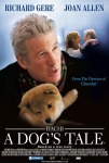 Hachi: Bir Köpeğin Hikâyesi Filmi Hachi: A Dog's Tale Movie