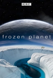 Kutuplar Atlası (2011 - 2012) - Frozen Planet