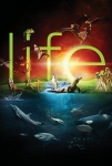 Life TV Dizisi Life TV Series