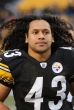 Troy Polamalu