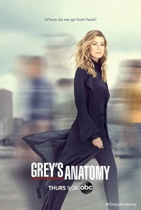 Grey's Anatomy TV Dizisi Grey's Anatomy Movie
