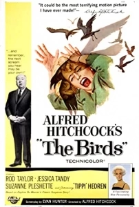 Kuşlar (1963) Filmi The Birds Movies