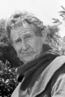 Doodles Weaver