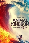 Animal Kingdom TV Dizisi Animal Kingdom TV Series