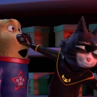  ✸ Süper Köpek ve Turbo Kedi (2019)