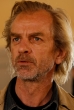 Magne-Håvard Brekke