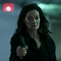  ✸ The Flight Attendant (2020) ★ Michelle Gomez