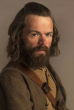 Stephen Walters