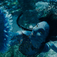  ✸ Avatar: Suyun Yolu (2022)