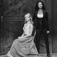  ✸ Westworld (2016) ★ Evan Rachel Wood ★ Thandie Newton