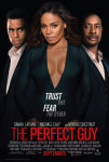 Mükemmel Bir Adam Filmi The Perfect Guy Movie