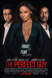 Mükemmel Bir Adam (2015) - The Perfect Guy