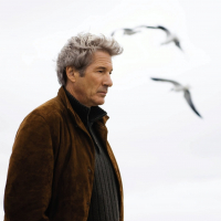 ✸ Sevgi Fırtınası (2008) ★ Richard Gere