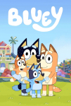 Bluey TV Dizisi Bluey TV Series