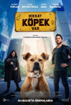 Dikkat Köpek Var Filmi Dikkat Köpek Var Movie