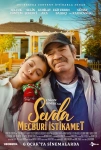 Sevda Mecburi İstikamet