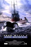 Özgür Willy 3 Filmi Free Willy 3: The Rescue Movie