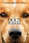 Can Dostum Filmi A Dog's Purpose Movie