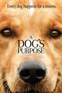 Can Dostum Sinema Filmi A Dog's Purpose Movie