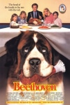 Afacan Köpek Beethoven Filmi Beethoven Movie