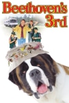 Afacan Köpek Beethoven 3 Filmi Beethoven's 3rd Movie