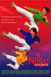 3 Ninjas Kick Back Filmi 3 Ninjas Kick Back Movie