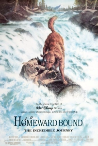 Yuvaya Dönüş (1993) - Homeward Bound: The Incredible Journey