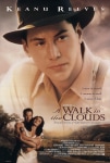 Bulutların Ötesinde Filmi A Walk in the Clouds Movie
