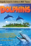 Dolphins Filmi Dolphins Movie