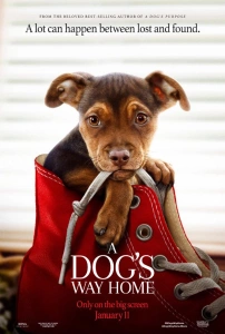 Sadık Dostum Sinema Filmi A Dog's Way Home Movie