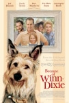 Sevgili Köpeğim Filmi Because of Winn-Dixie Movie