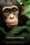 Şempanze Filmi Chimpanzee Movie