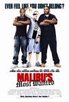 Herkes Onun Peşinde Filmi Malibu's Most Wanted Movie