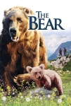 Ayı Filmi L'Ours Movie