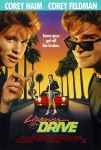 Şoför Ehliyeti Filmi License to Drive Movie