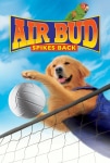 Harika Köpek 5 Filmi Air Bud: Spikes Back Movie