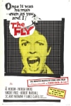 Öldüren Arzu Filmi The Fly Movie