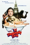 Dedektif Köpek Filmi Oh Heavenly Dog Movie