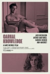 İlk Defa Filmi Carnal Knowledge Movie