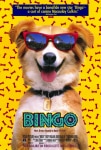 Kahraman Köpek Bingo Filmi Bingo Movie