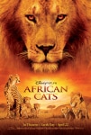 Afrika Kedileri Filmi African Cats Movie
