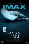 Swan Lake Filmi Swan Lake Movie