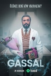Gassal TV Dizisi Gassal TV Series