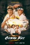 Cobra Kai TV Dizisi Cobra Kai TV Series