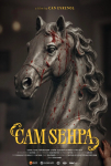 Cam Sehpa Filmi Cam Sehpa Movie