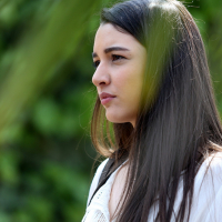  ✸ İçerde (2016) &starf; Damla Colbay